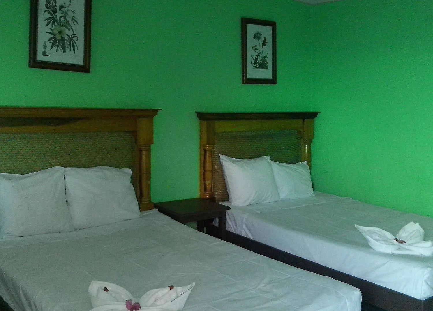 La Alegria Hotel Playa del Carmen